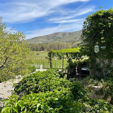 Domaine De Majastre Bed and Breakfast Bauduen Buitenkant foto