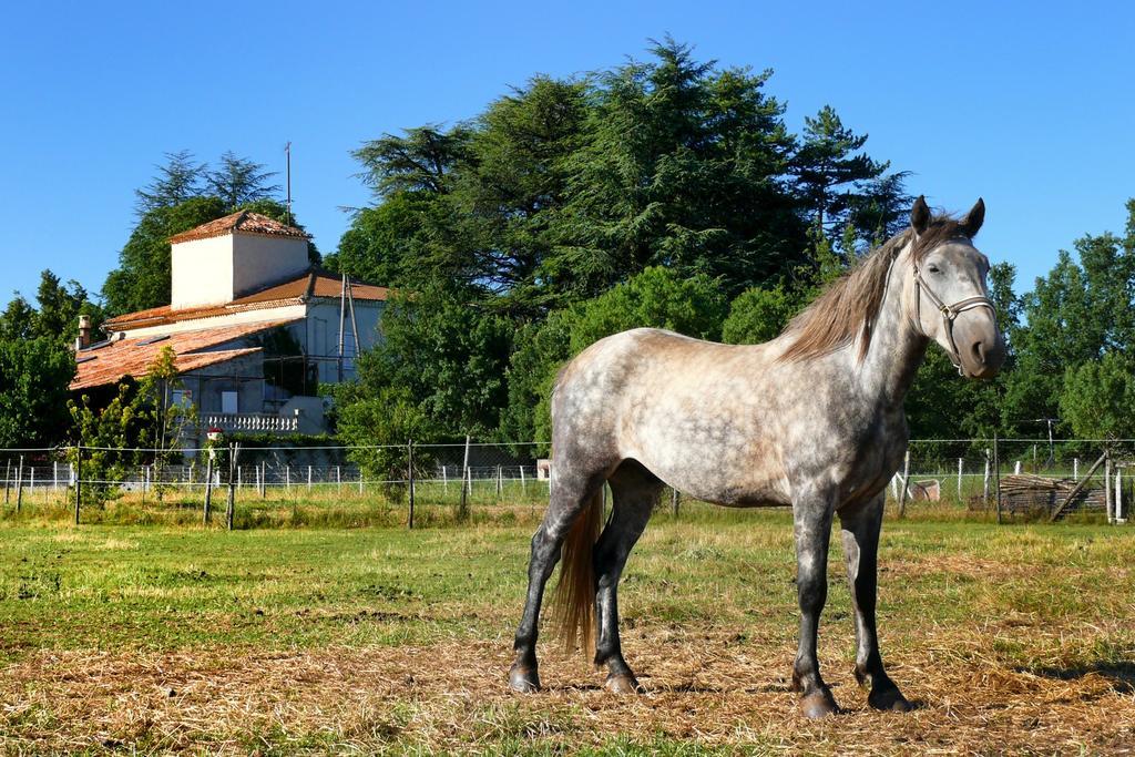 Domaine De Majastre Bed and Breakfast Bauduen Buitenkant foto